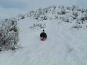 2005_1231SherNY0014.jpg