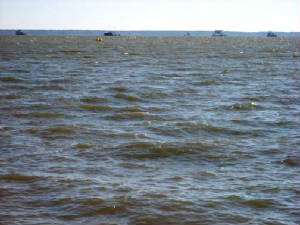 IMG_0257copy.JPG