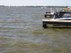 IMG_0258copy.JPG