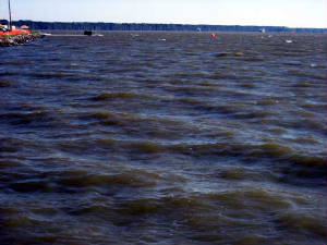 IMG_0260copy.JPG