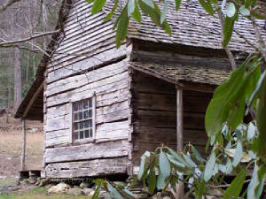 2007-01-01-Tennessee-043.jpg