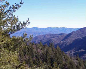2007-01-02-Tennessee-089.jpg
