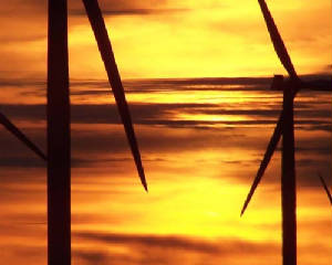 2007-07-22-Wind-Farm-025.jpg