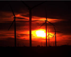 2007-07-22-Wind-Farm-039.jpg