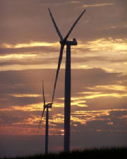 2007-08-06-006.jpg