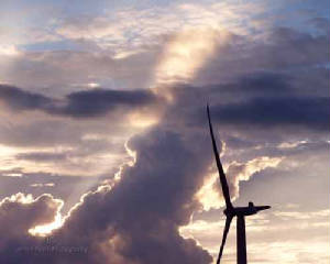 2007-09-24-Prairie-Pinwheel.jpg
