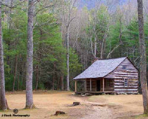 Carter-Shields-Cabin---Cade.jpg