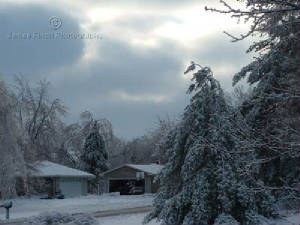DSCF0012.jpg