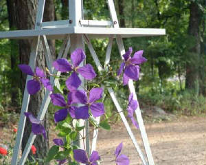 DSCF0058.jpg