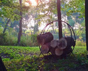 DSCF0137.jpg