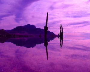 DSCF0158.jpg