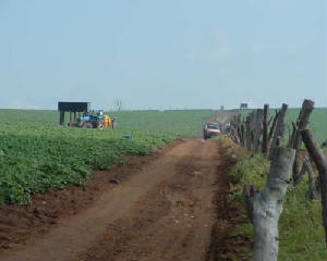 MexAug04-047.jpg
