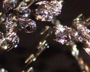 Phoenix-Fountain-2.jpg