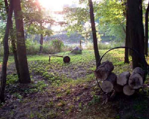 SaltCreekFirewood.jpg