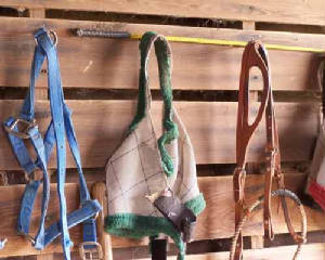 Tack-Room-Wall-2.jpg