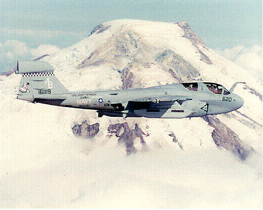 ea6ranier.gif