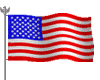 amerflag.gif