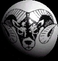 ram_1.jpg
