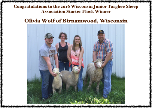 Congratulations to the 2016 Wisconsin Junior Targhee Sheep Association Starter Flock Winner

Olivia Wolf of Birnamwood, Wisconsin￼