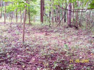 100_0308_edited.jpg
