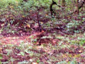 100_0313_edited.jpg