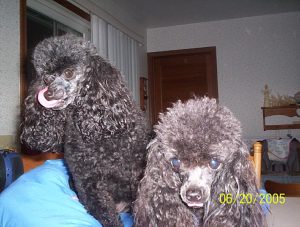 June_2005_-_Jenna_and_Daphne_after_haircut_003.jpg