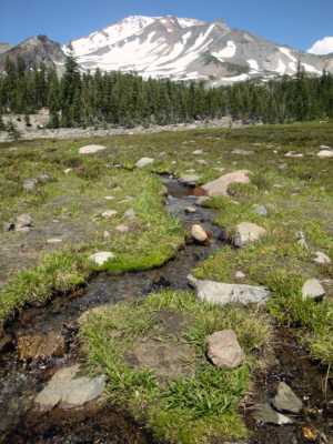 Panther Meadows on Mt Shasta