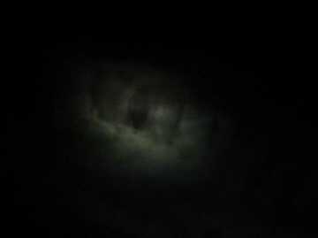 A bear visited us the very first night at Lake Mary