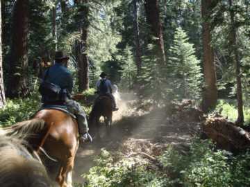 First part of the trail through thick forest.  All the trail is DUSTY.