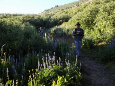 Wildflowers during our one break, near sunset