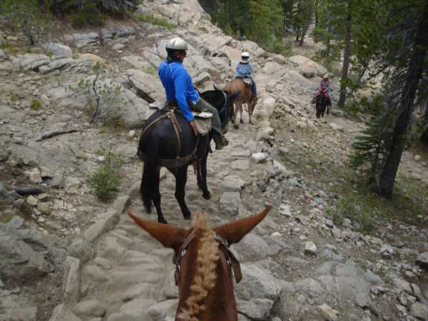 Last, short downhill stretch to the Tuolumne River at Glen Aulin camp