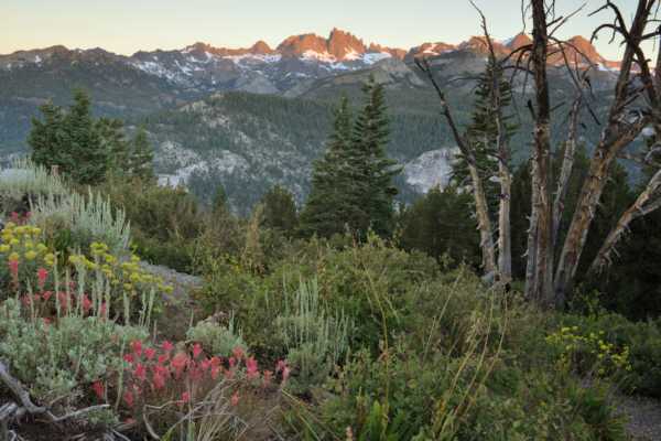 Mts Ritter and Banner at sunrise from Minaret Summit