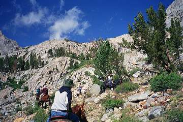 (mule)packing UP towards Piute Pass