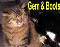 Gem & Boots - Small