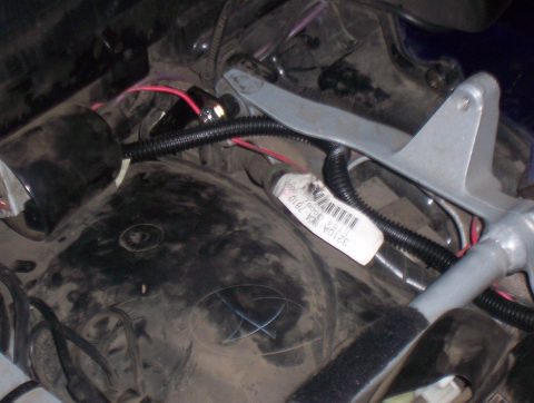 wires_in_plastic_tube.jpg