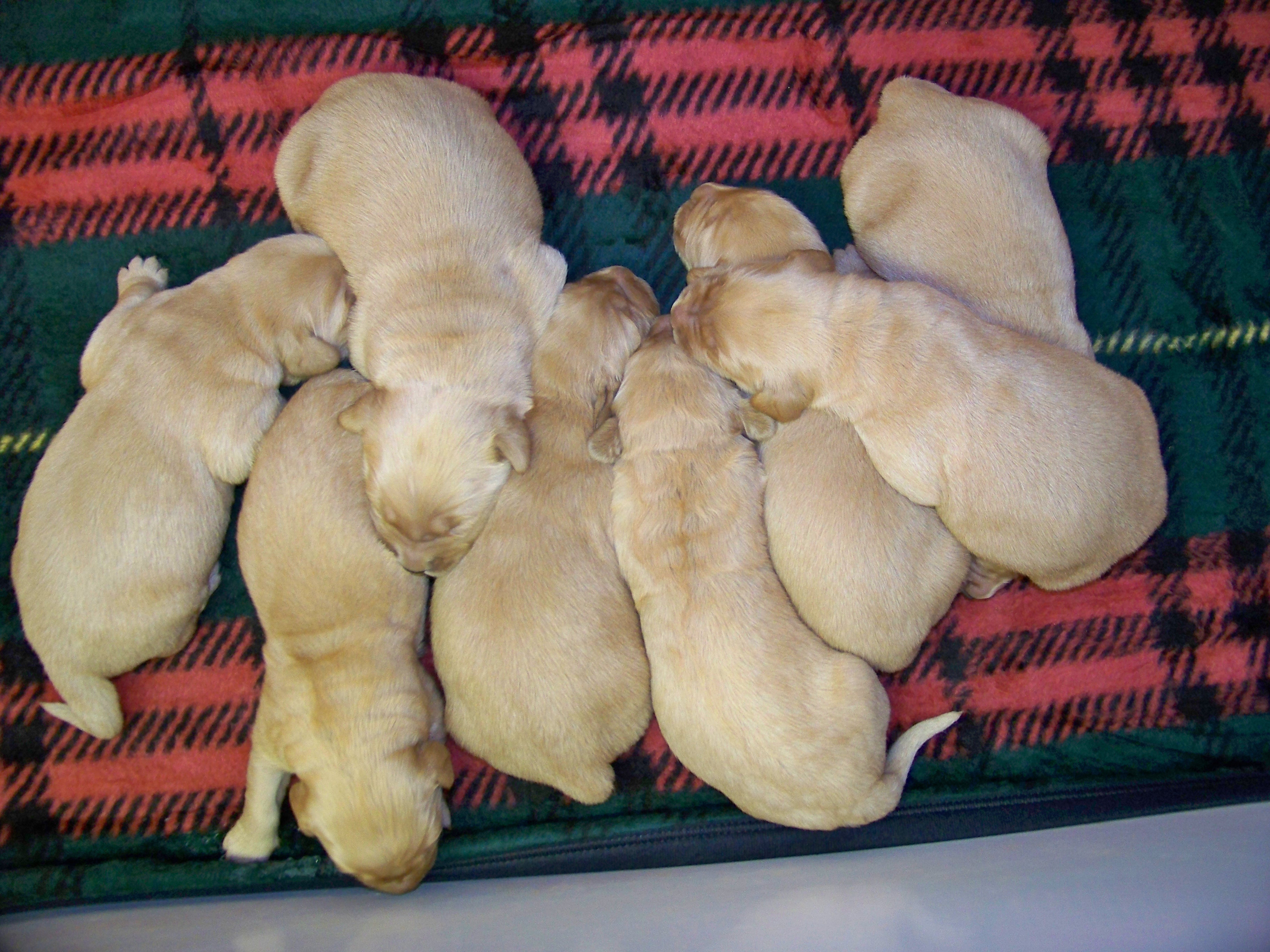 oneweekold03132011008.JPG