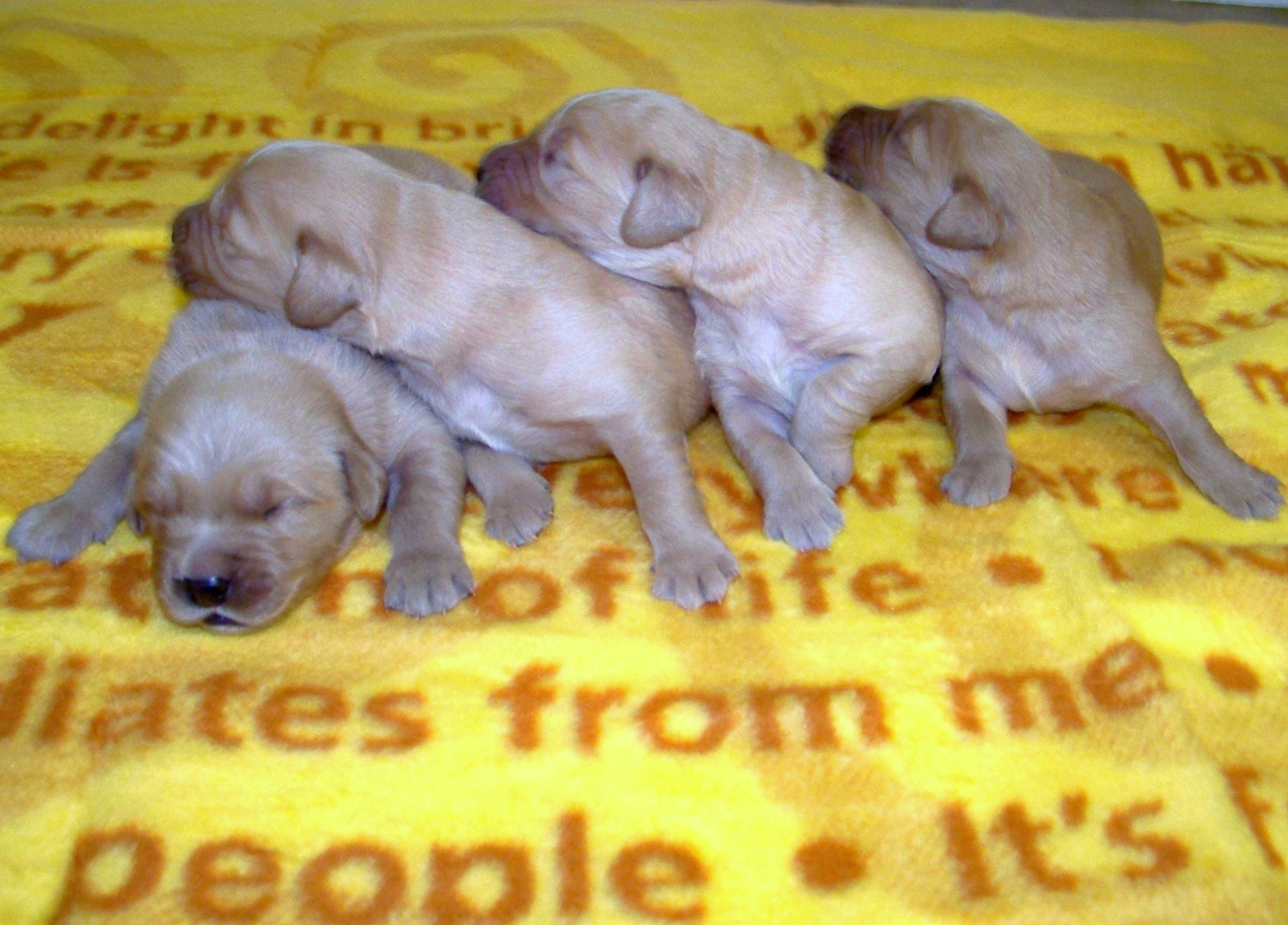 oneweekold03132011052.JPG
