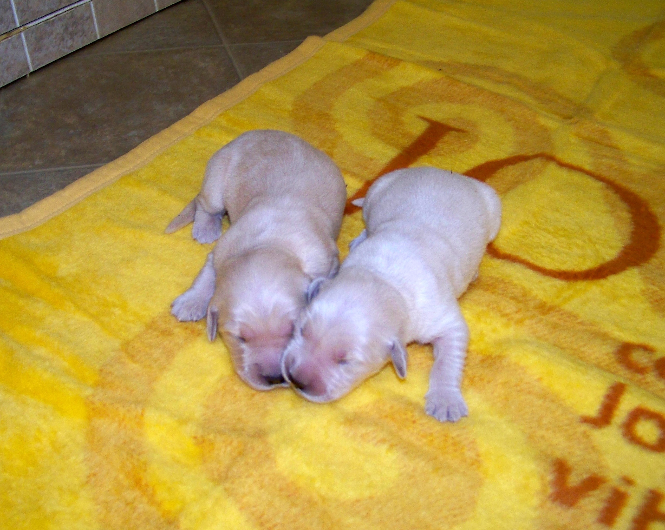 oneweekold03132011062.JPG