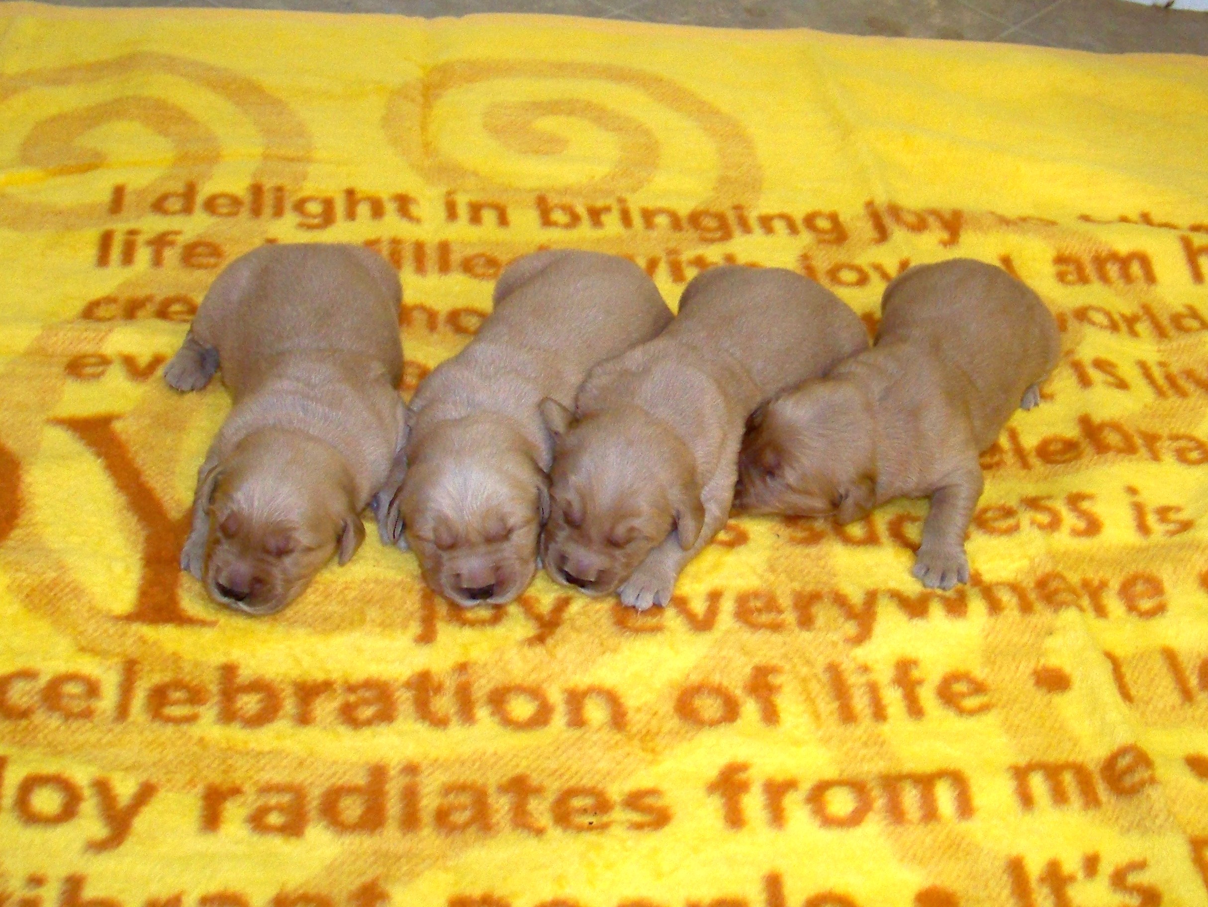 oneweekold03132011076.JPG