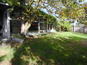 129196inchbackyard.jpg