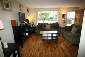 16824craigslivingroom1.jpg