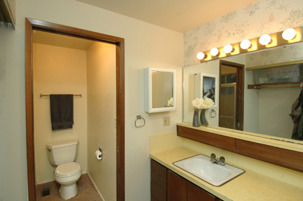 17912masterbath.jpg