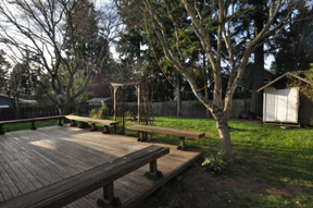 backyard1web.jpg