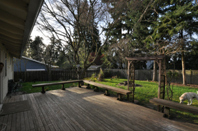 backyard2web.jpg