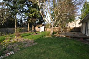 backyard3web.jpg