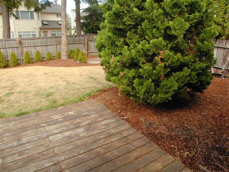 dscn1849.jpg