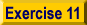 Exercise 11