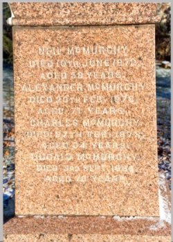 Reverse Side