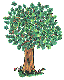 tree3.gif (3139 bytes)