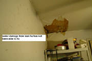 webinside3.JPG